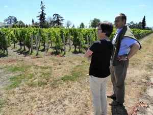 Marianne Lau og Michel Moulène i Cheval Blancs vinmarker